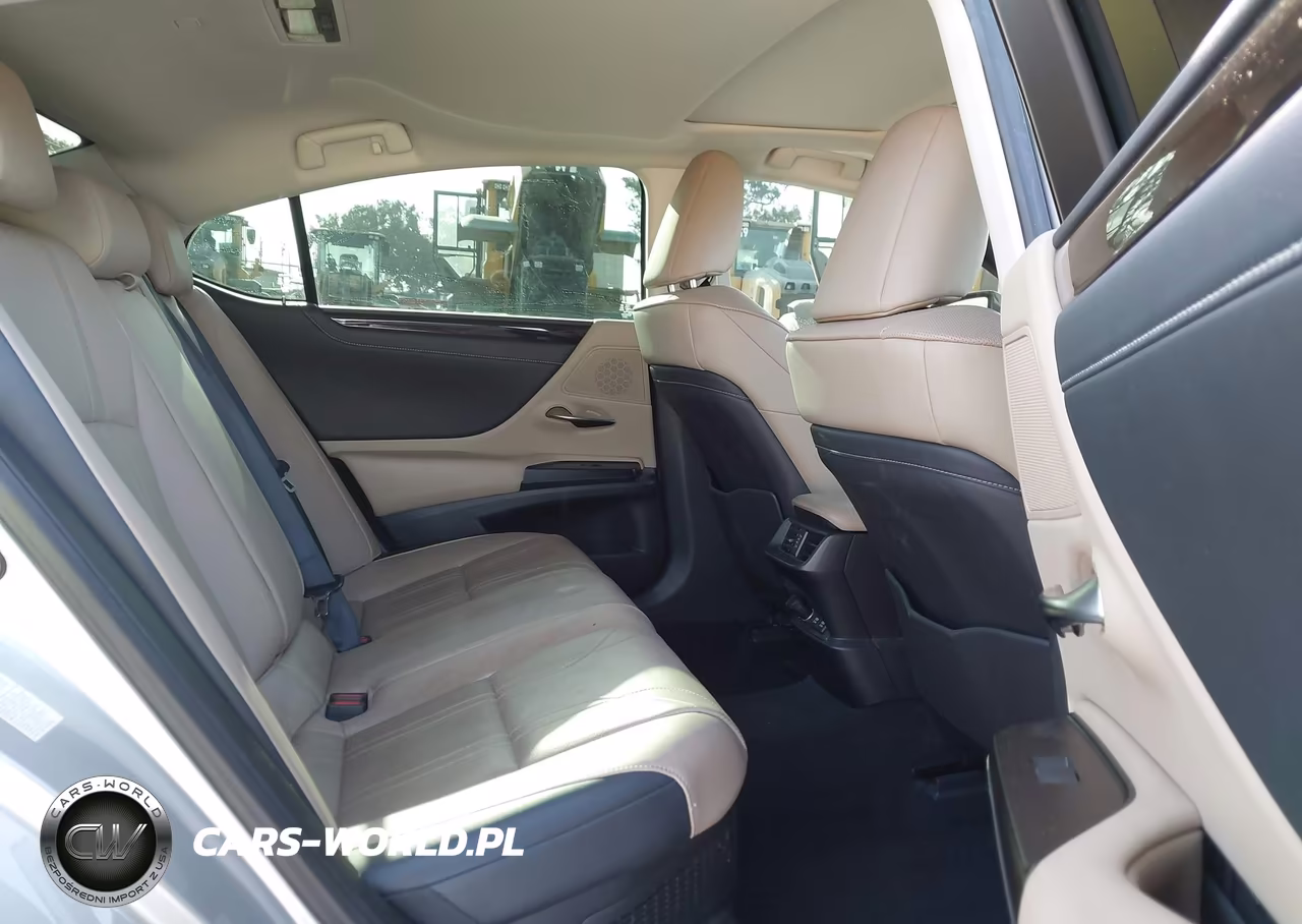 2019 Lexus Es 300H Luxury VIN:JTHB21B17K2026728 - 8