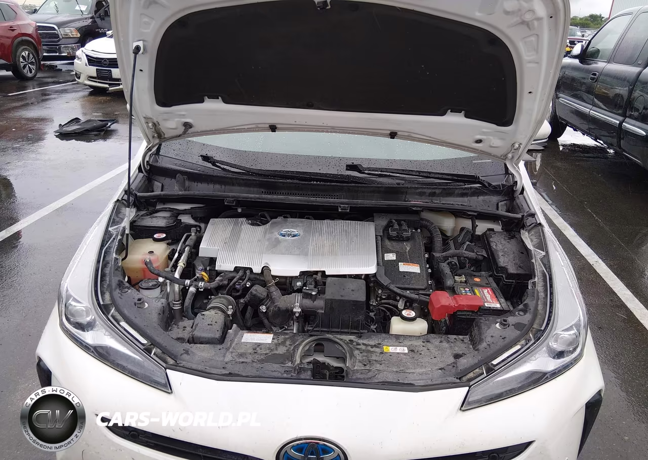 2019 Toyota Prius Le VIN:JTDKARFU7K3093413 - 10