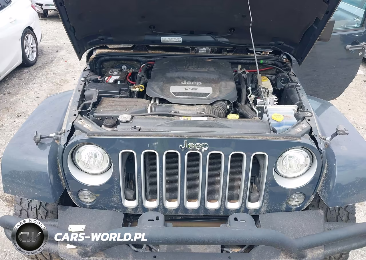 2016 Jeep Wrangler Unlimited Sahara VIN:1C4BJWEG9GL194406 - 10