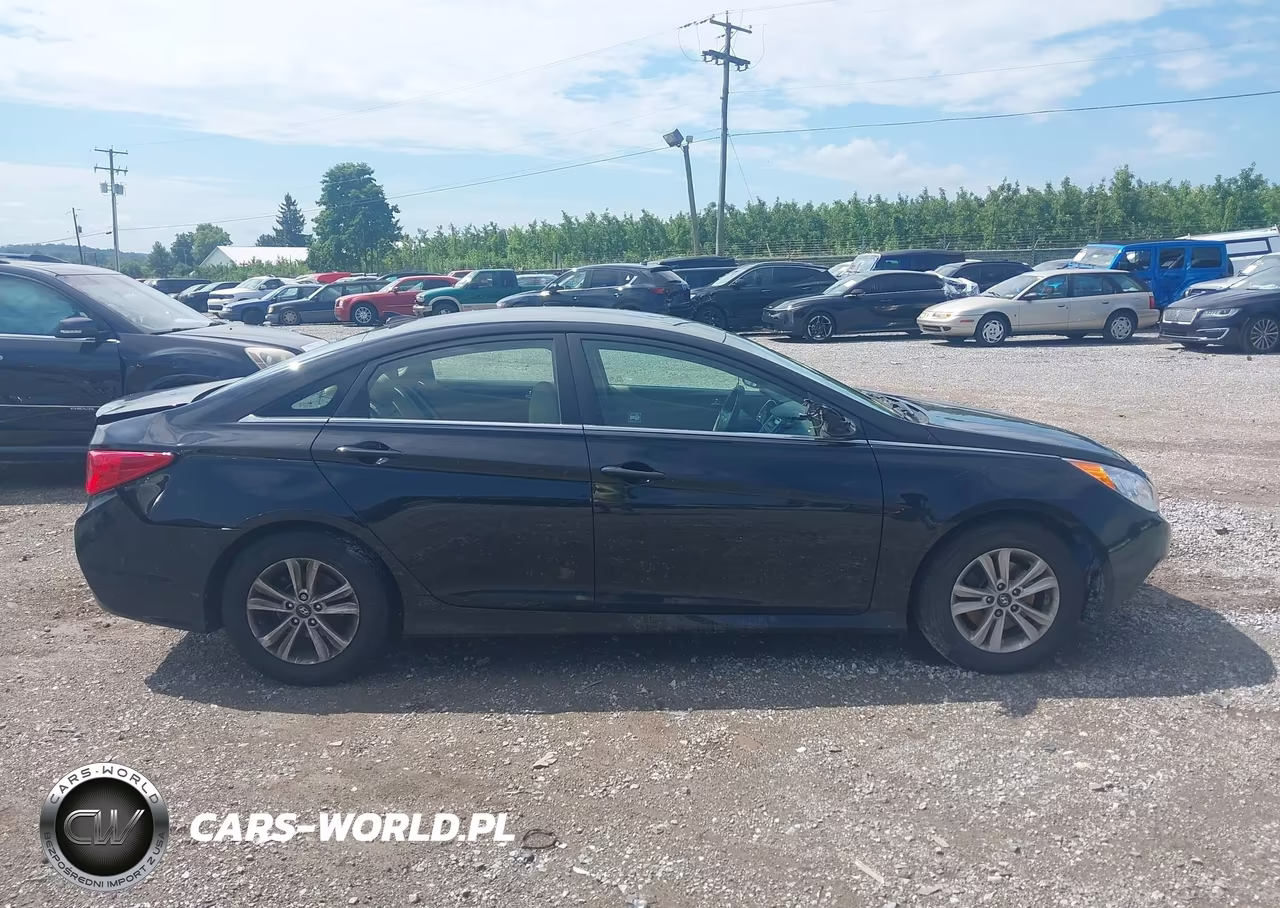 2014 Hyundai Sonata Gls VIN:5NPEB4AC9EH894073 - 13