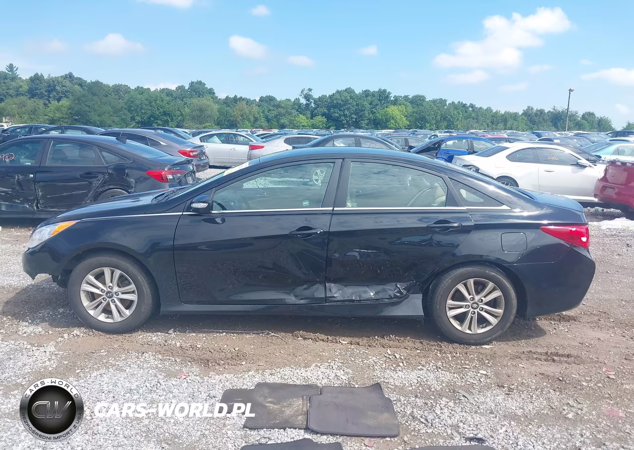 2014 Hyundai Sonata Gls VIN:5NPEB4AC9EH894073 - 14