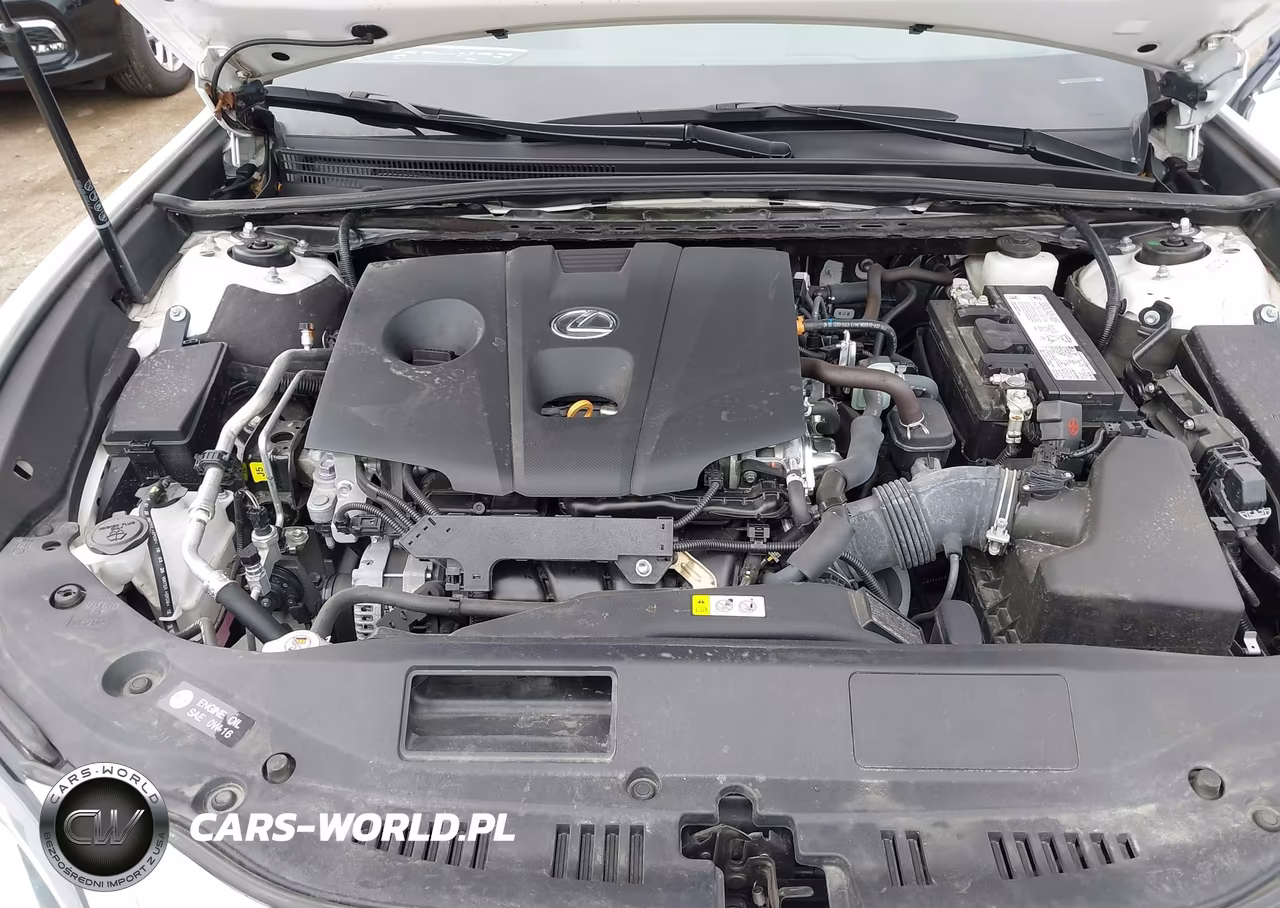 2021 Lexus Es 250 VIN:58AD11D12MU001242 - 10