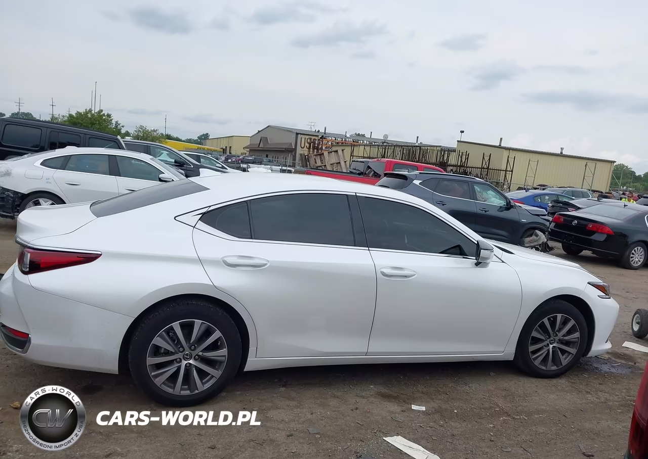 2021 Lexus Es 250 VIN:58AD11D12MU001242 - 13