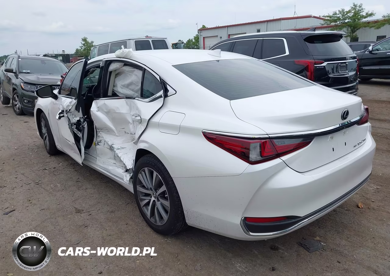 2021 Lexus Es 250 VIN:58AD11D12MU001242 - 3