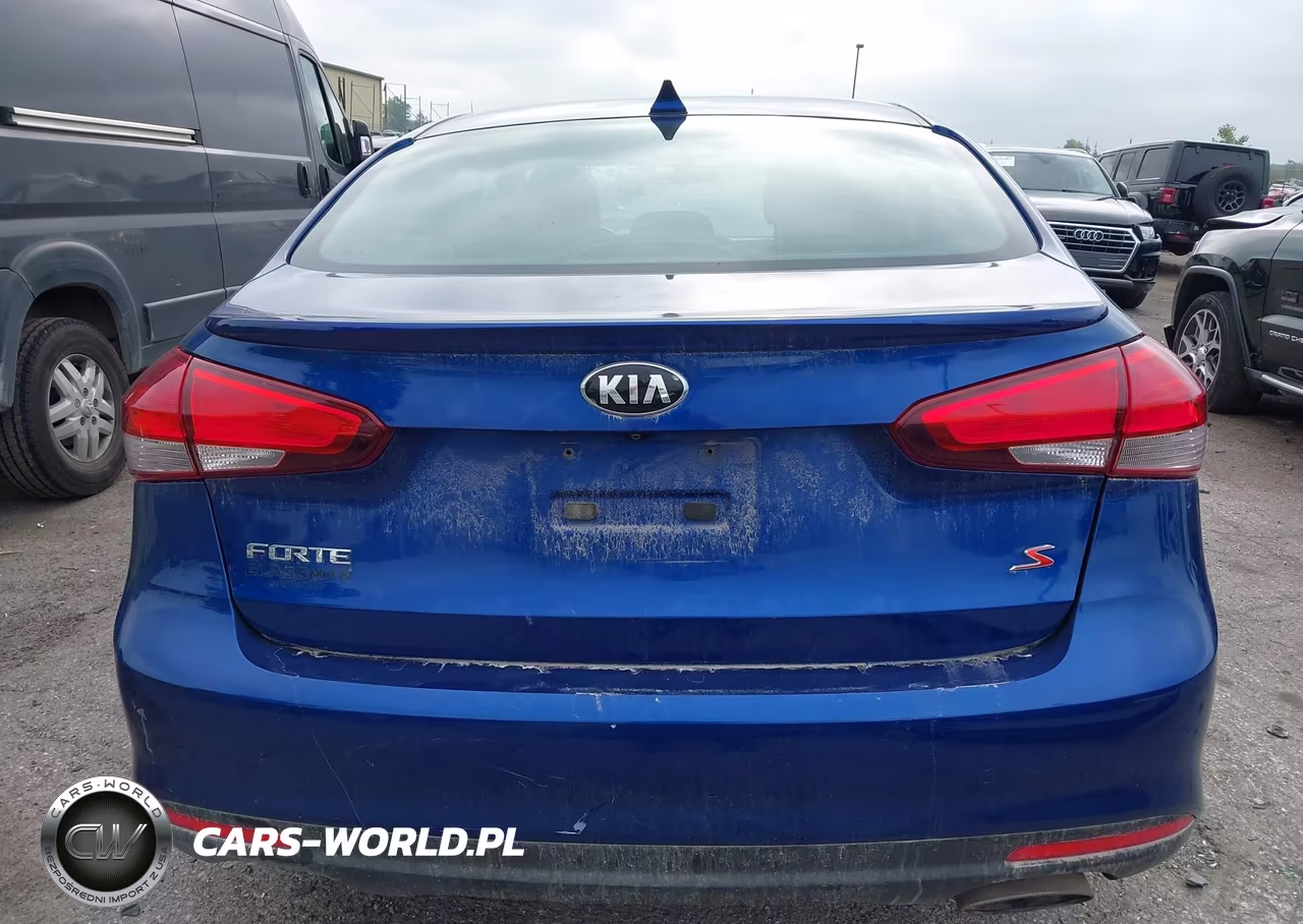 2017 Kia Forte S VIN:3KPFL4A70HE159253 - 17