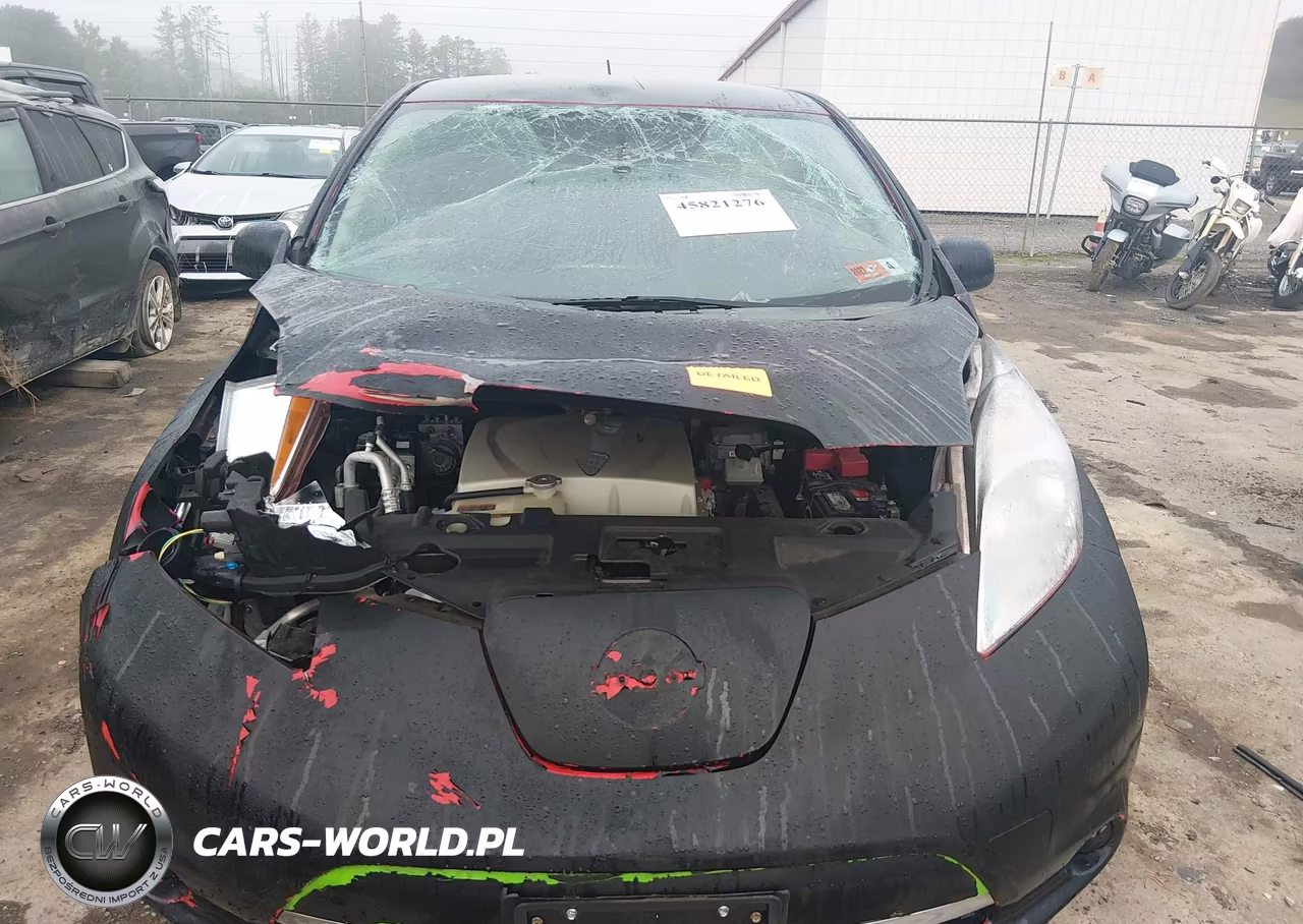 2016 Nissan Leaf Sv VIN:1N4BZ0CPXGC311361 - 12