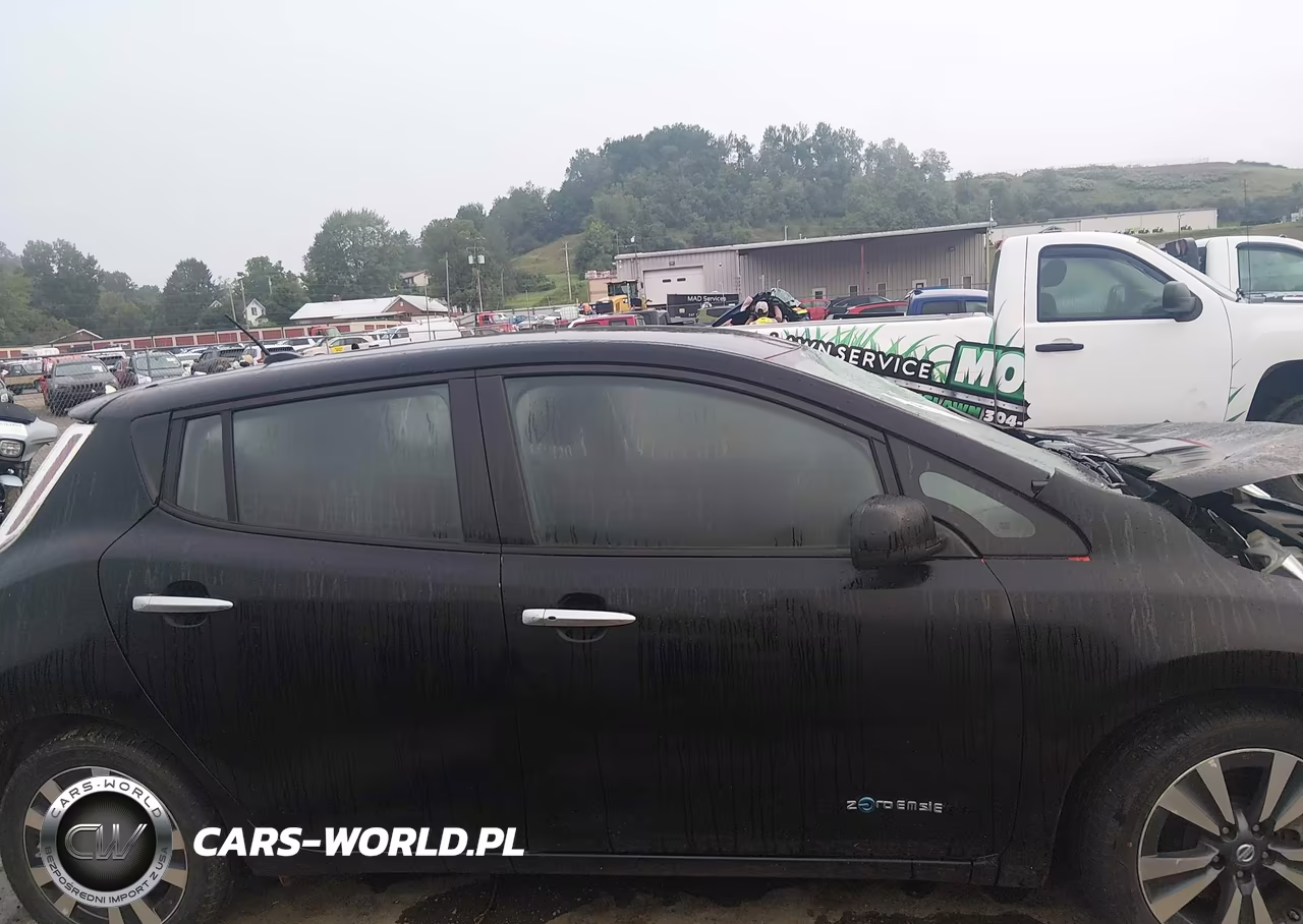 2016 Nissan Leaf Sv VIN:1N4BZ0CPXGC311361 - 13