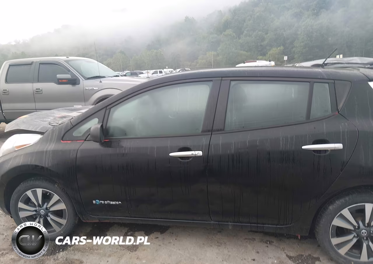 2016 Nissan Leaf Sv VIN:1N4BZ0CPXGC311361 - 14