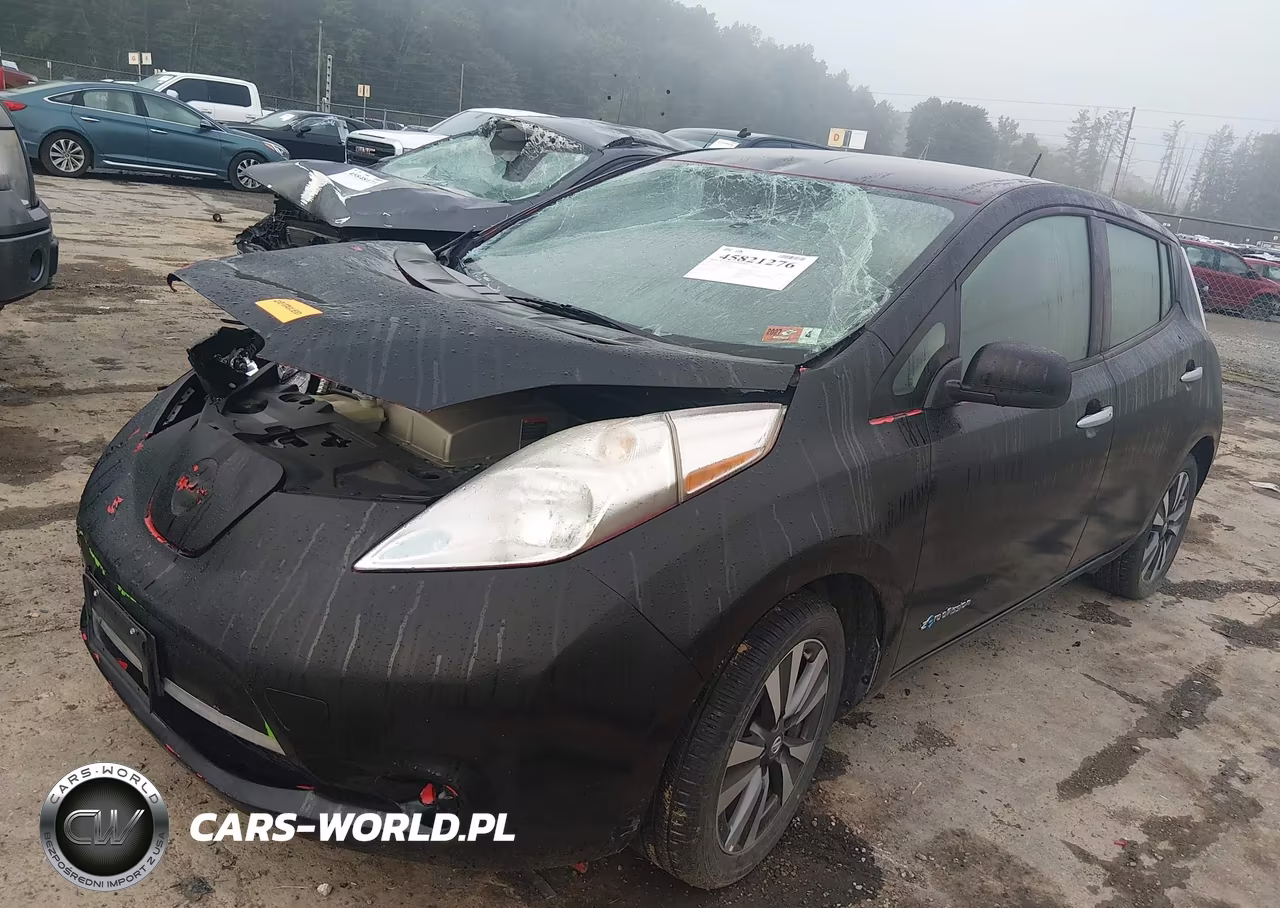 2016 Nissan Leaf Sv VIN:1N4BZ0CPXGC311361 - 2