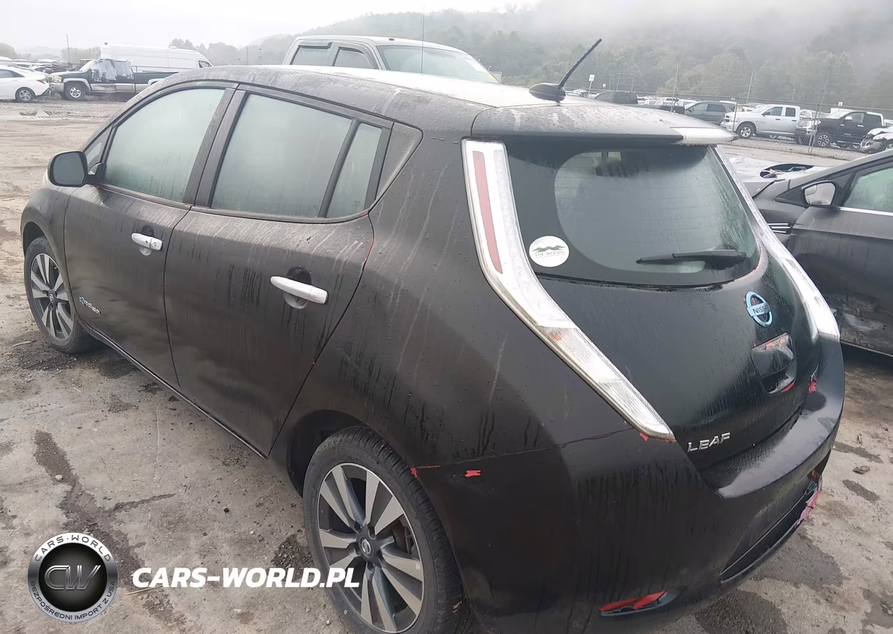 2016 Nissan Leaf Sv VIN:1N4BZ0CPXGC311361 - 3