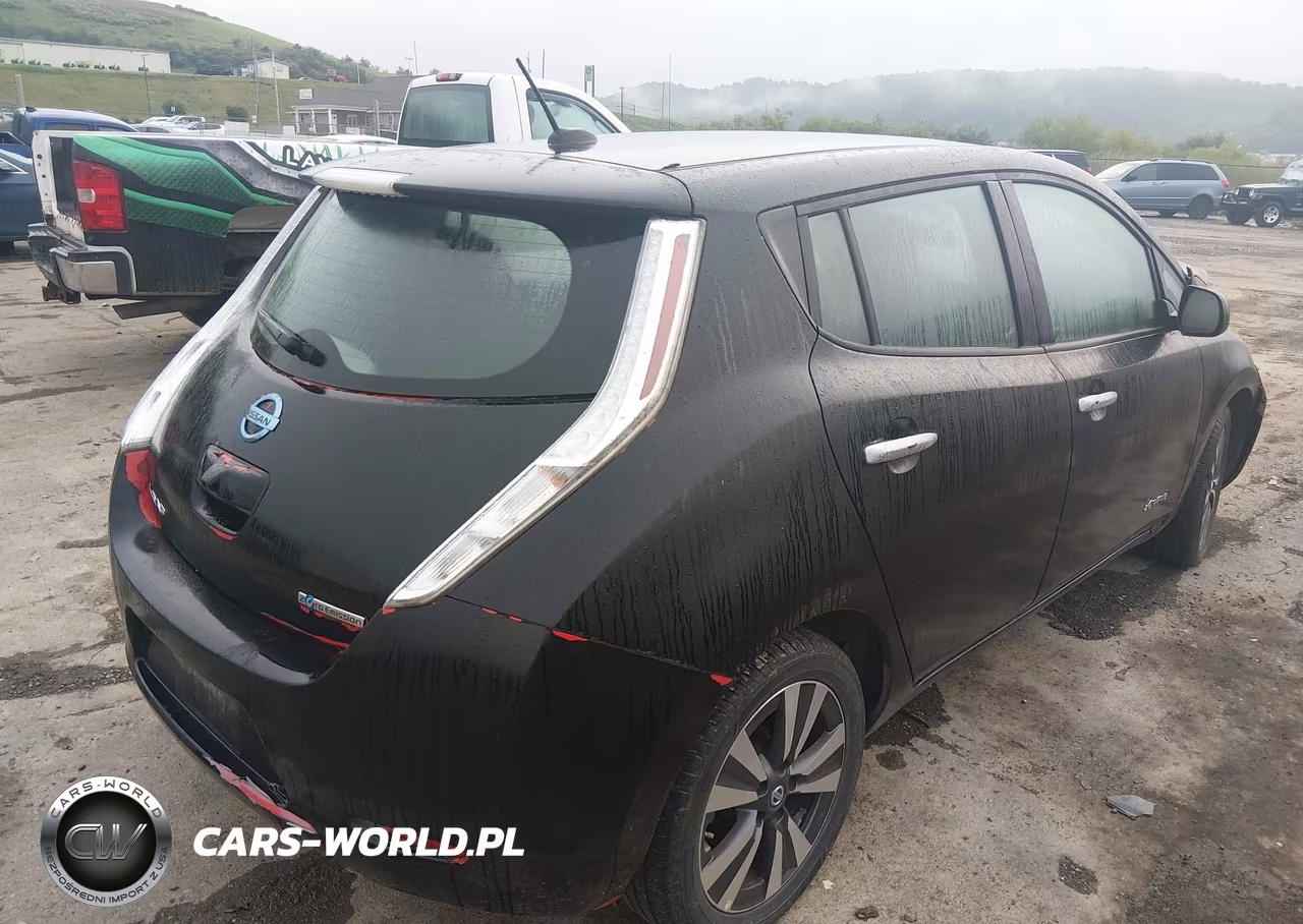 2016 Nissan Leaf Sv VIN:1N4BZ0CPXGC311361 - 4