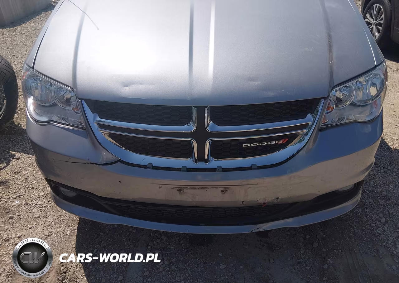 2019 Dodge Grand Caravan Sxt VIN:2C4RDGCG8KR774325 - 19