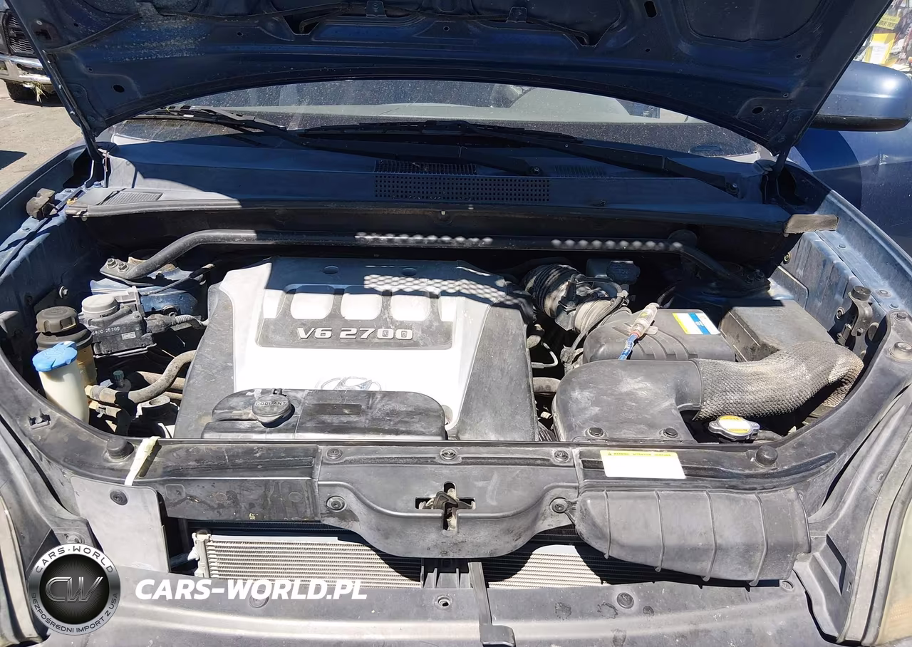 2006 Hyundai Tucson Gls-Limited VIN:KM8JN72DX6U438973 - 10
