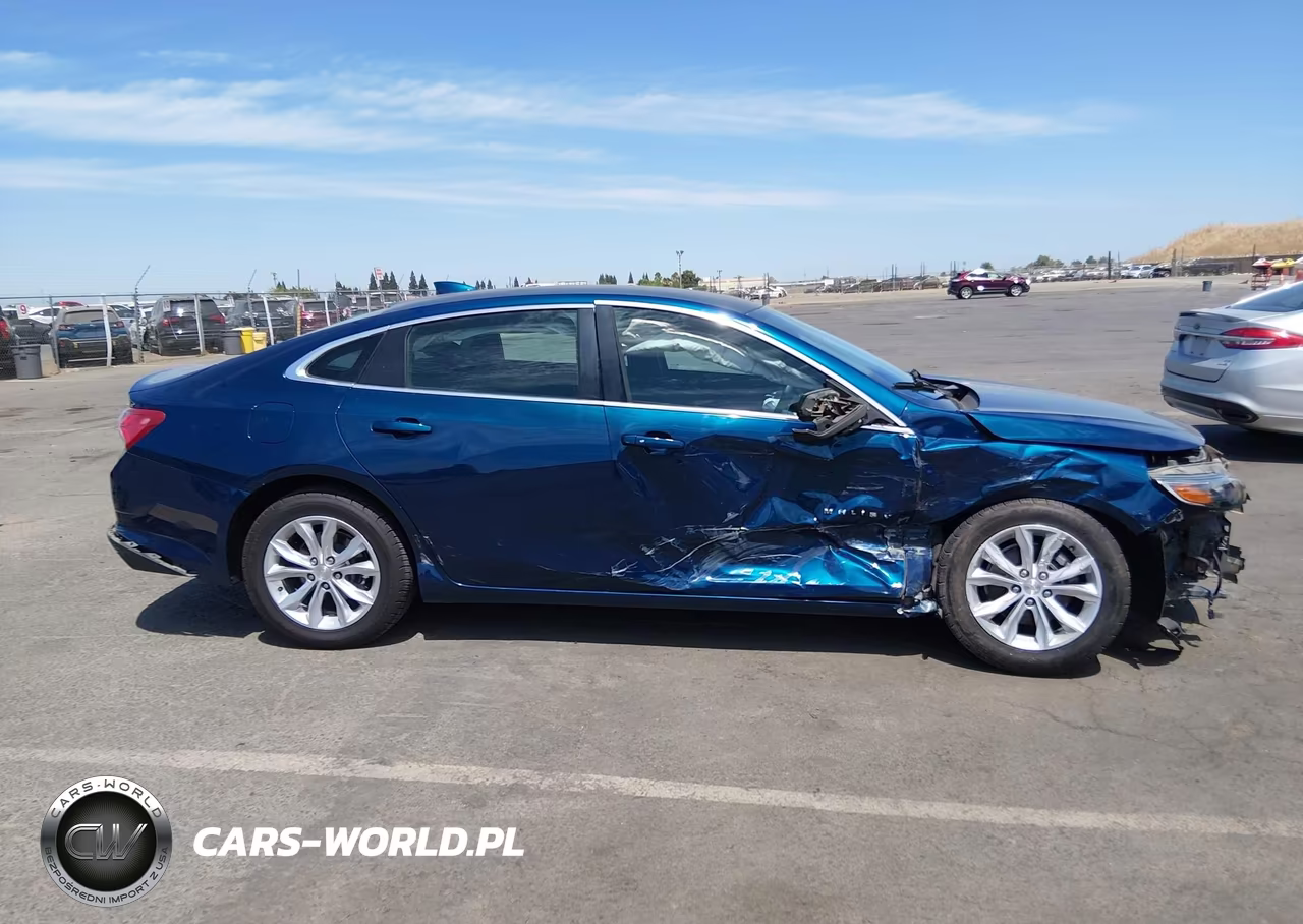 2019 Chevrolet Malibu Lt VIN:1G1ZD5ST4KF139895 - 13