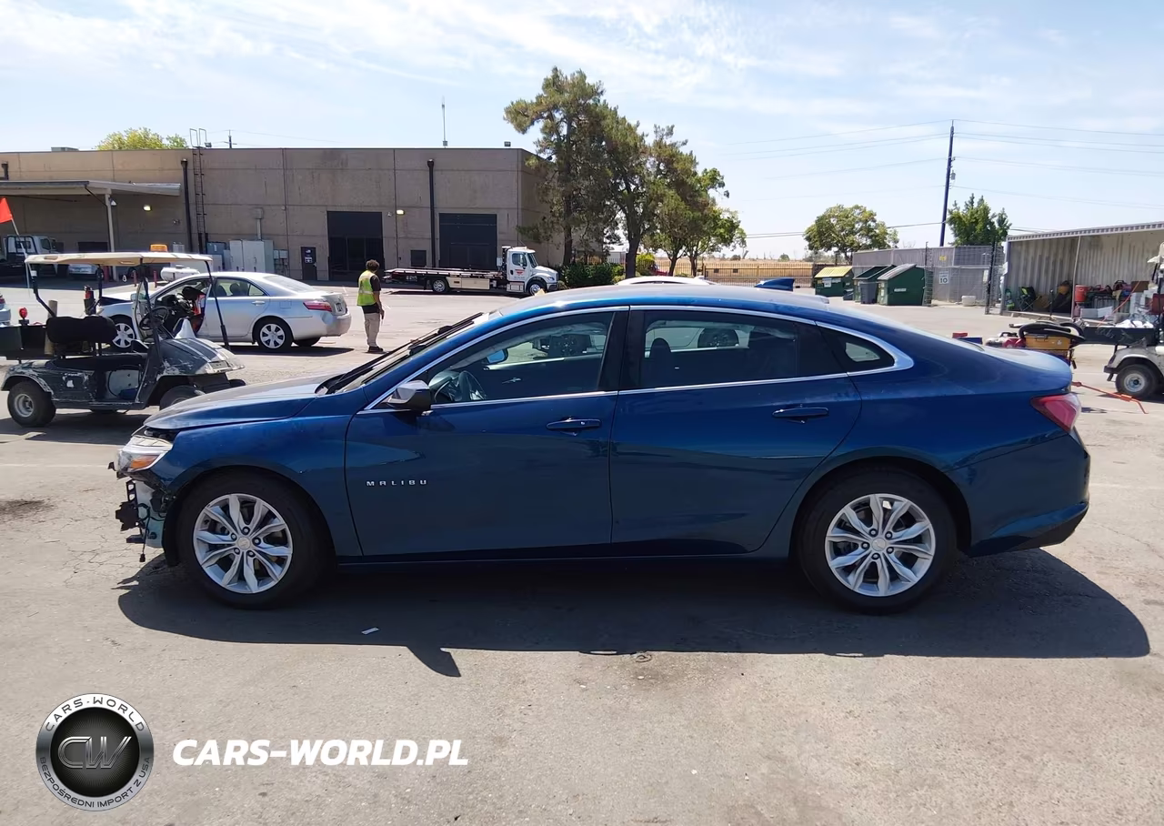 2019 Chevrolet Malibu Lt VIN:1G1ZD5ST4KF139895 - 17