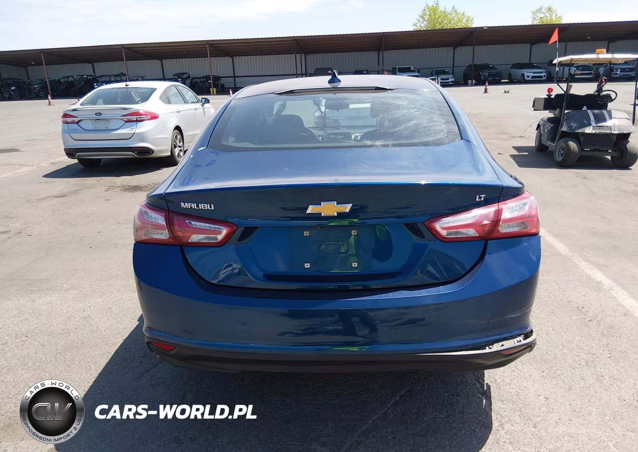 2019 Chevrolet Malibu Lt VIN:1G1ZD5ST4KF139895 - 19