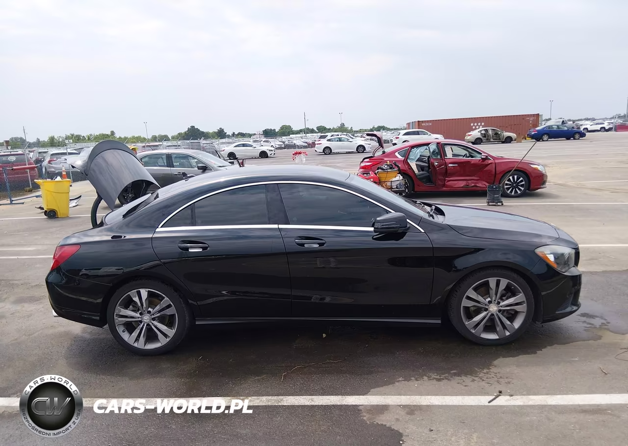 2016 Mercedes-Benz Cla 250 VIN:WDDSJ4EB4GN316978 - 13