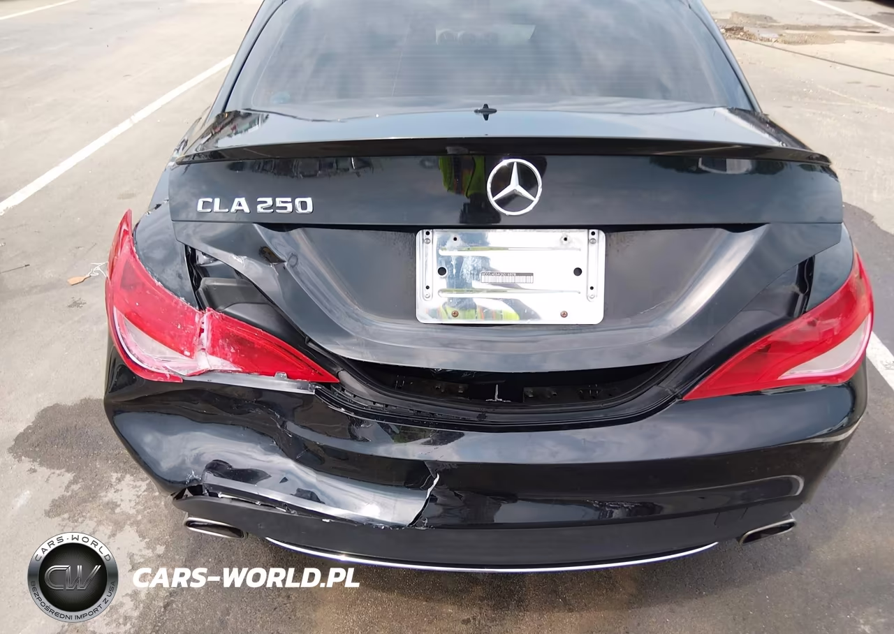 2016 Mercedes-Benz Cla 250 VIN:WDDSJ4EB4GN316978 - 16