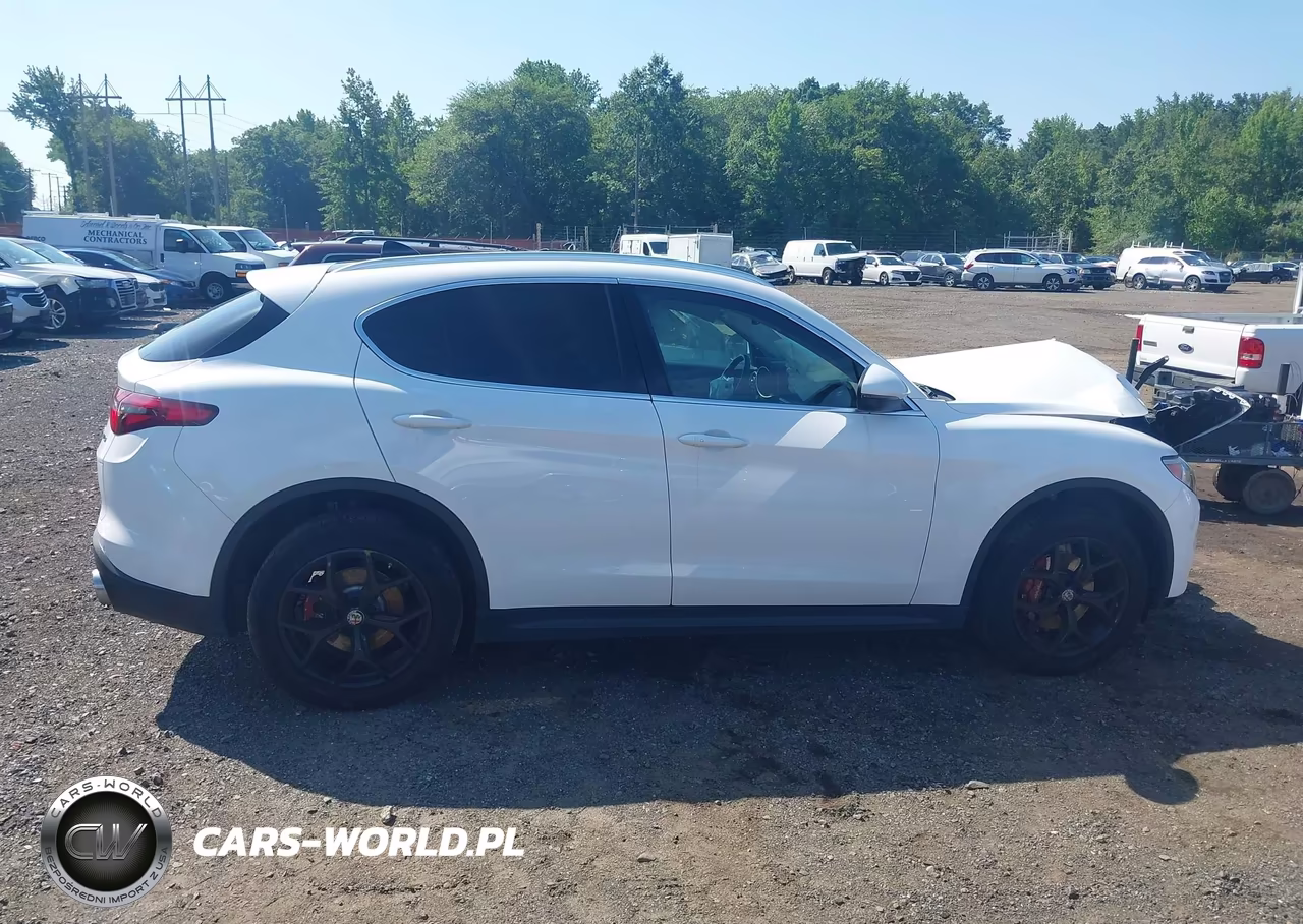 2019 Alfa Romeo Stelvio Ti Awd VIN:ZASPAKBN7K7C59411 - 13