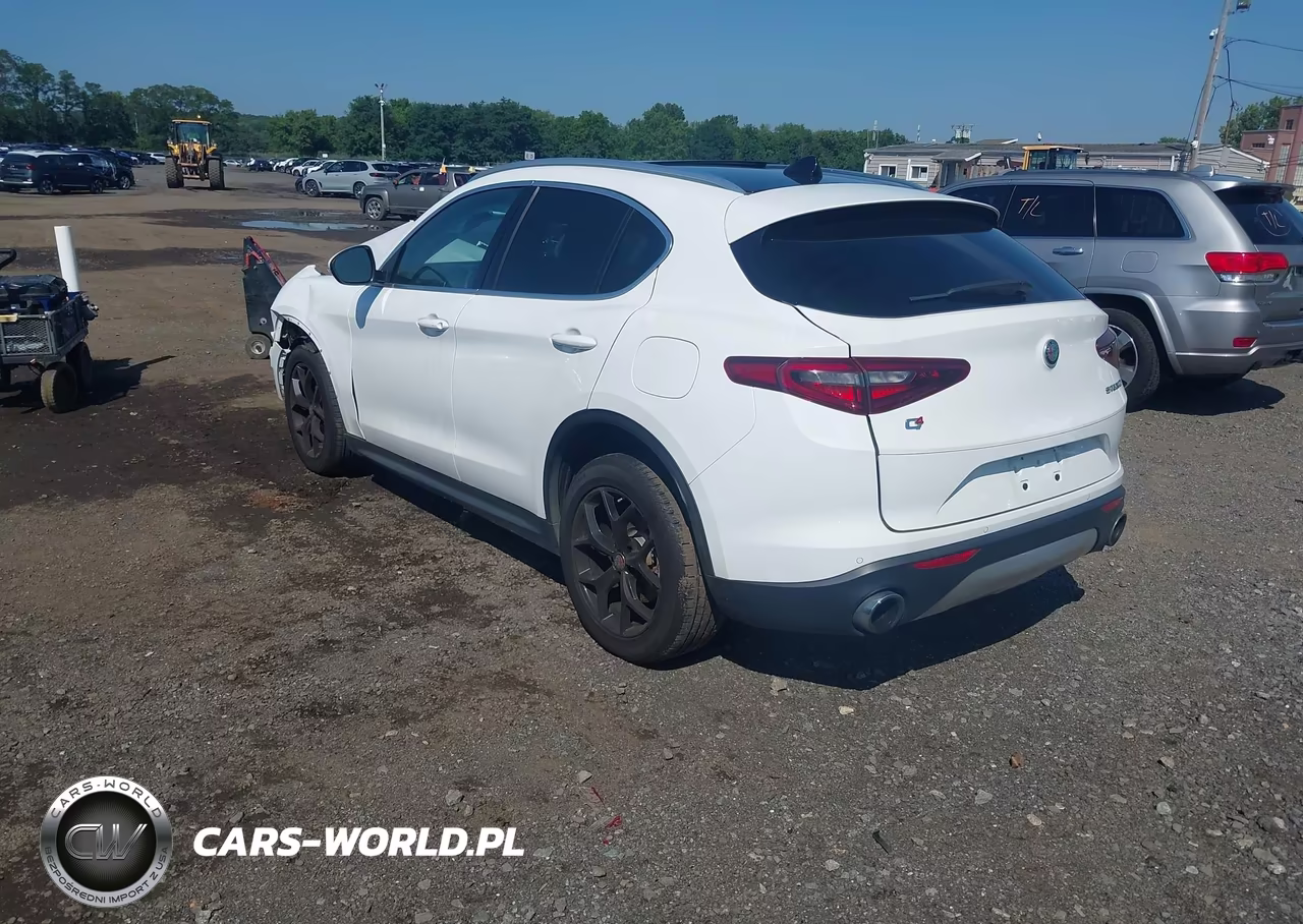 2019 Alfa Romeo Stelvio Ti Awd VIN:ZASPAKBN7K7C59411 - 3