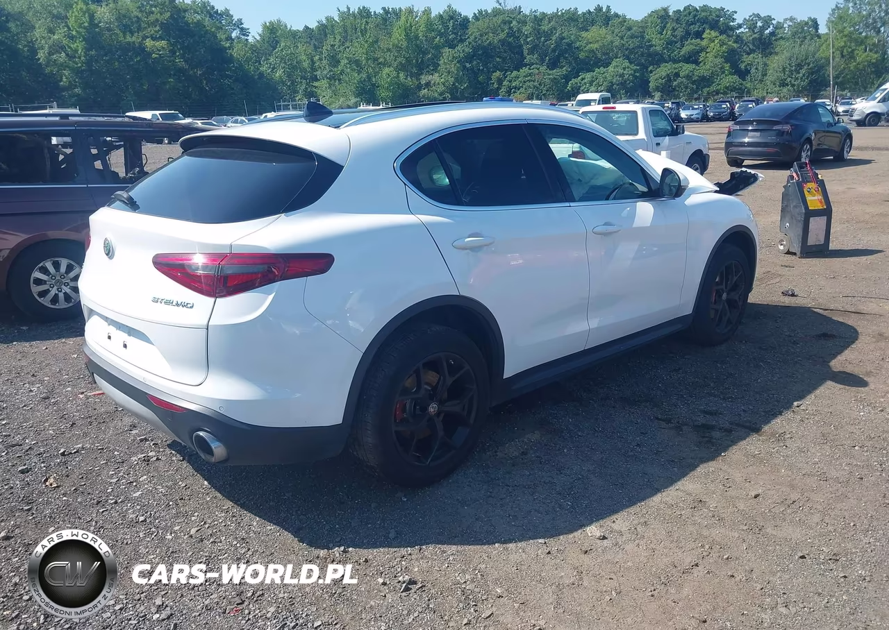 2019 Alfa Romeo Stelvio Ti Awd VIN:ZASPAKBN7K7C59411 - 4