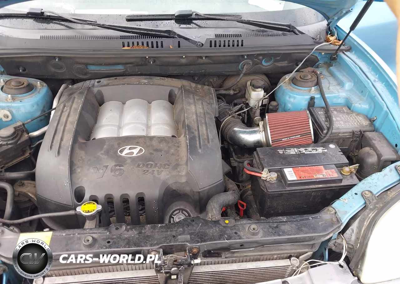 2004 Hyundai Santa Fe Gls VIN:KM8SC13D84U836945 - 10