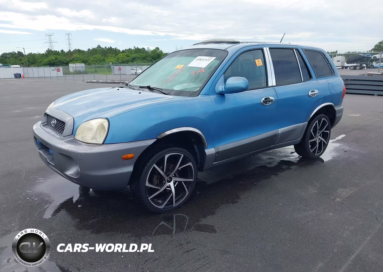 2004 Hyundai Santa Fe Gls VIN:KM8SC13D84U836945 - 2