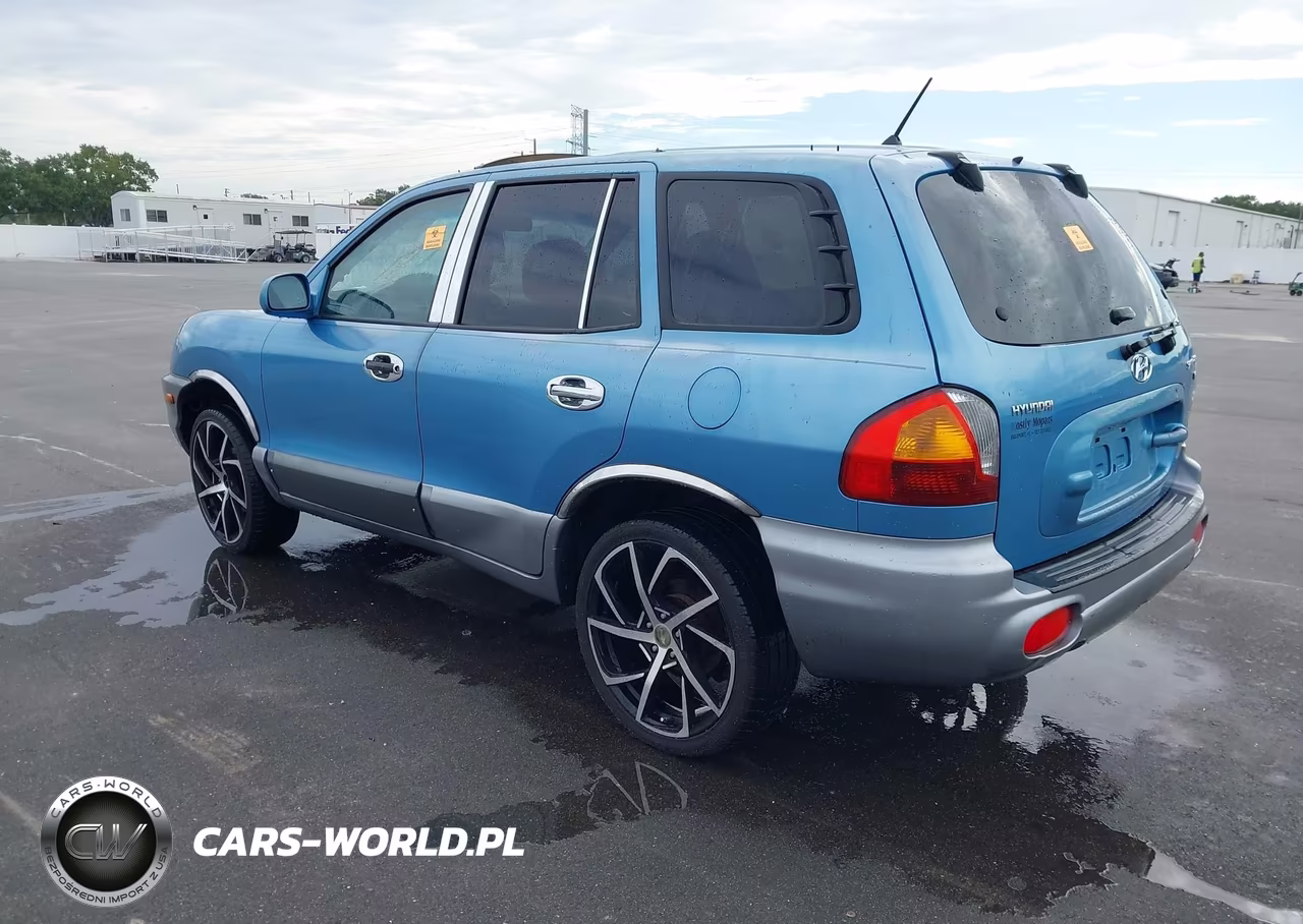 2004 Hyundai Santa Fe Gls VIN:KM8SC13D84U836945 - 3