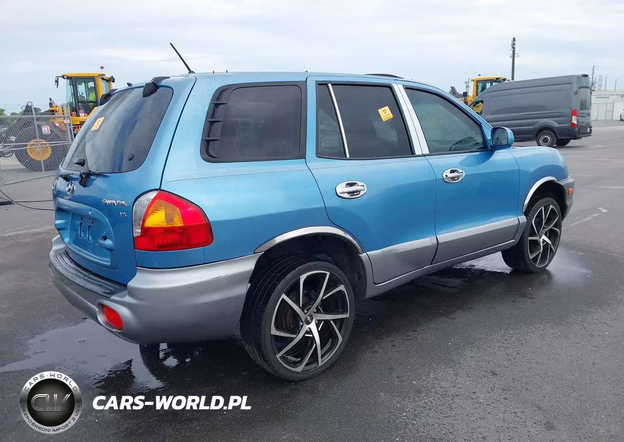 2004 Hyundai Santa Fe Gls VIN:KM8SC13D84U836945 - 4