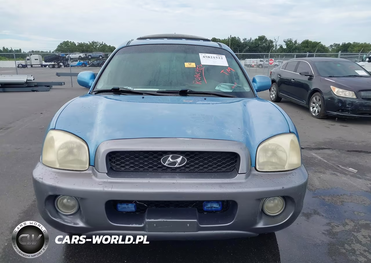 2004 Hyundai Santa Fe Gls VIN:KM8SC13D84U836945 - 6