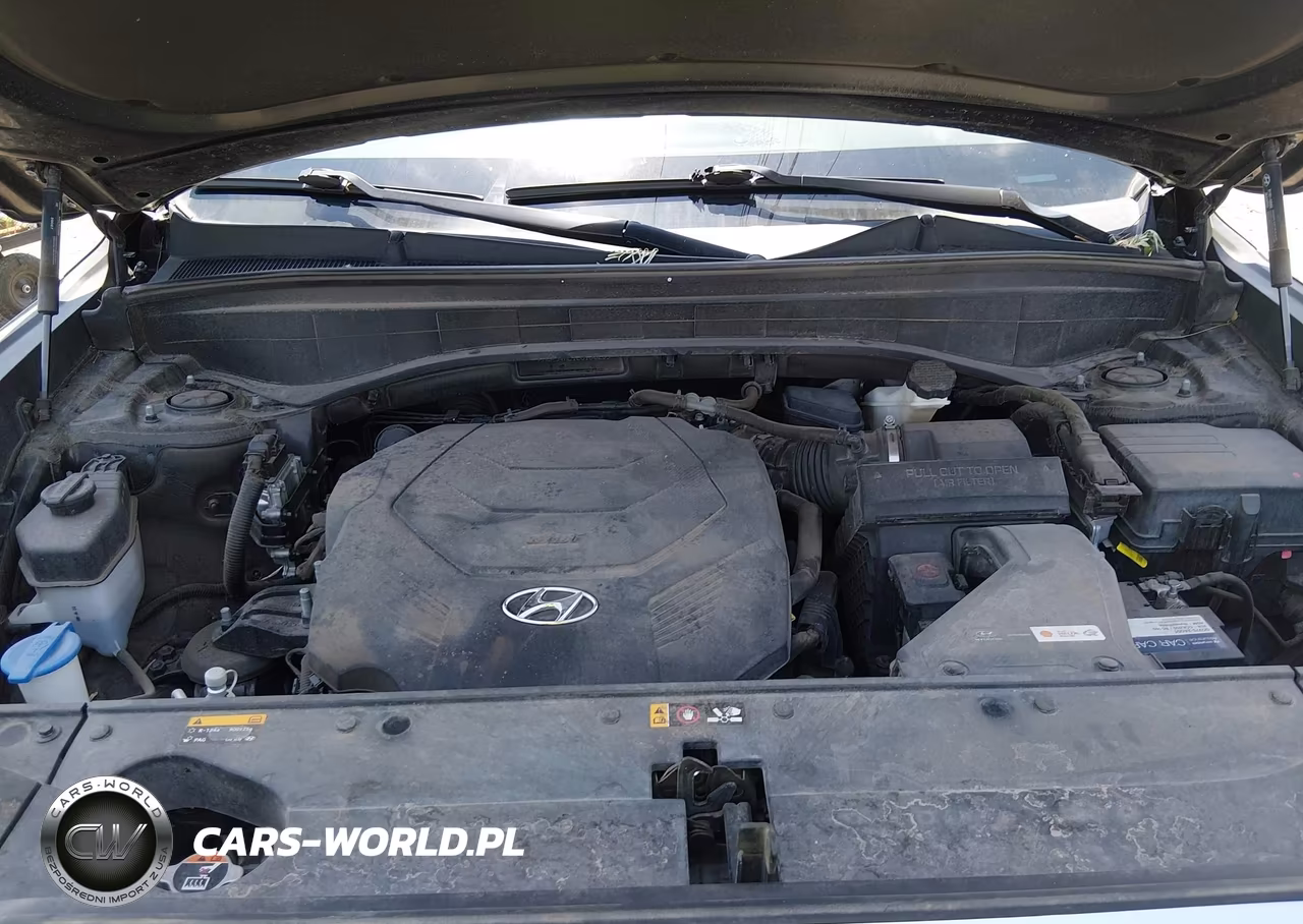 2020 Hyundai Palisade Sel VIN:KM8R34HE1LU160239 - 10