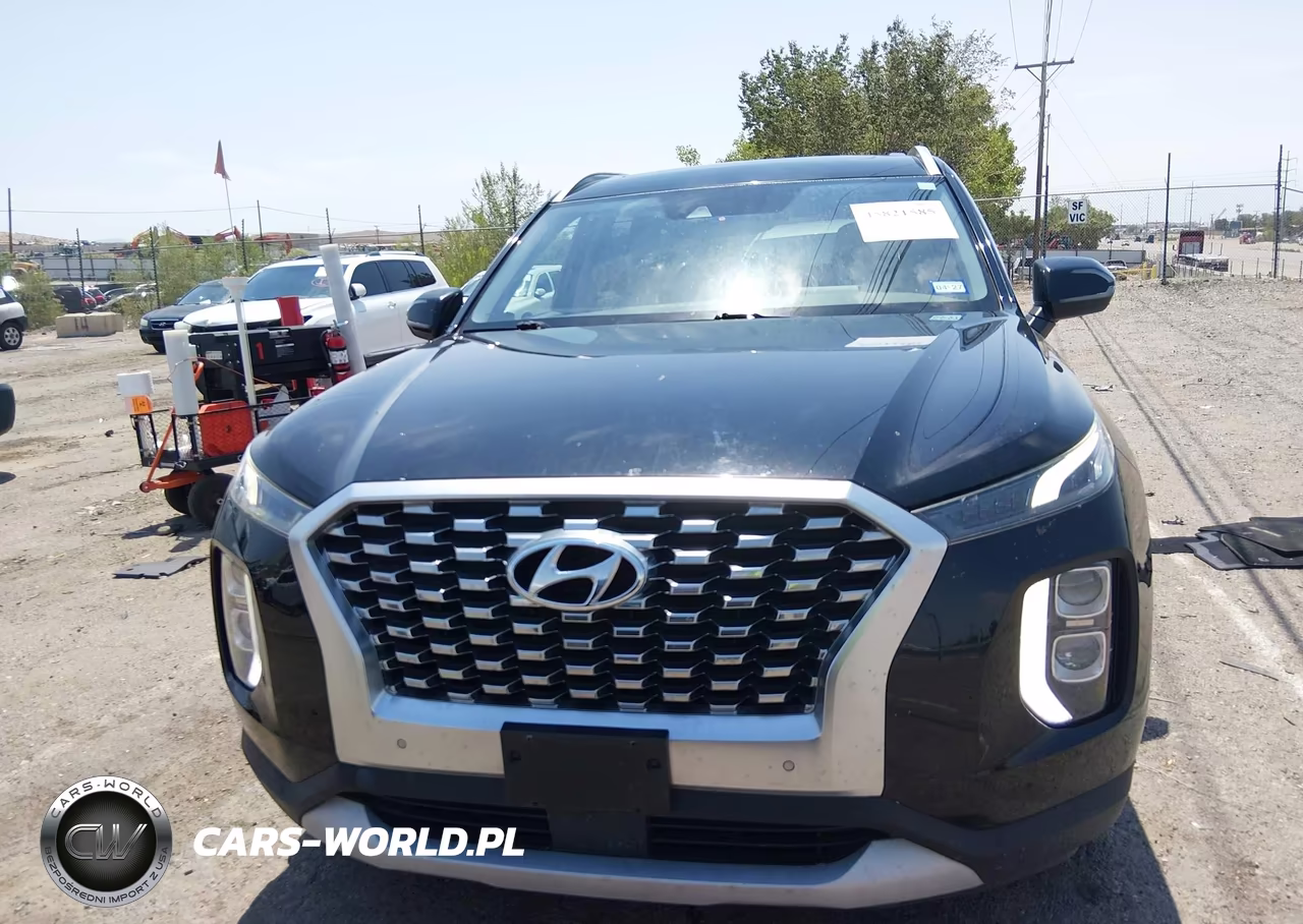 2020 Hyundai Palisade Sel VIN:KM8R34HE1LU160239 - 12