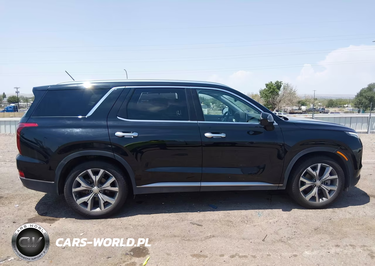 2020 Hyundai Palisade Sel VIN:KM8R34HE1LU160239 - 13