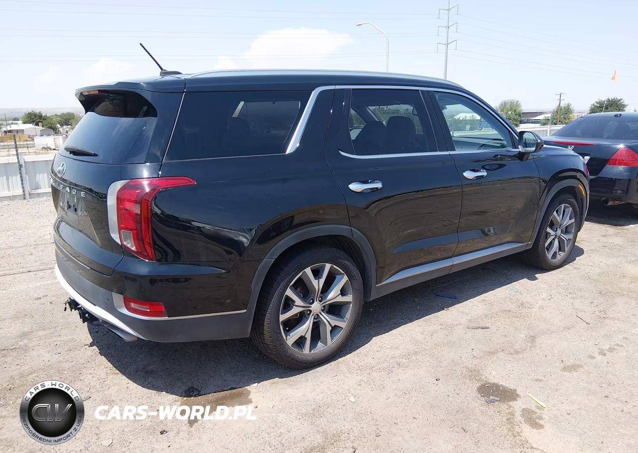 2020 Hyundai Palisade Sel VIN:KM8R34HE1LU160239 - 4