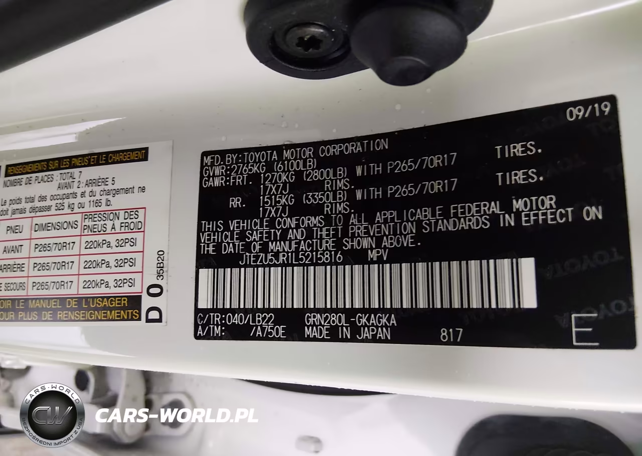 2020 Toyota 4Runner Sr5 Premium VIN:JTEZU5JR1L5215816 - 9