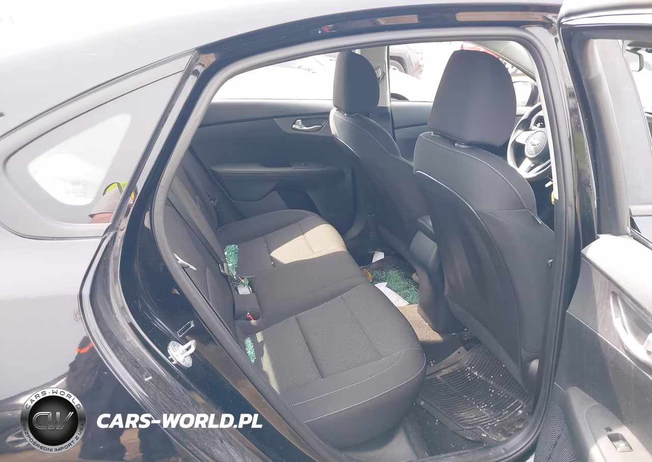 2020 Kia Forte Fe VIN:3KPF24AD6LE146217 - 8
