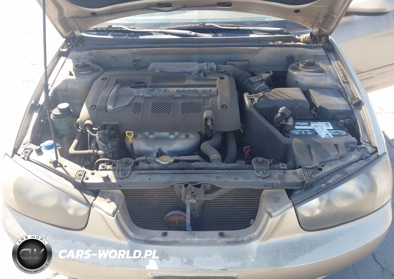 2003 Hyundai Elantra Gls-Gt VIN:KMHDN45D83U612557 - 10