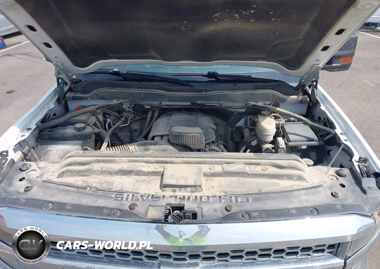 2019 Chevrolet Silverado 2500Hd Wt VIN:1GC1KREG0KF226760 - 10