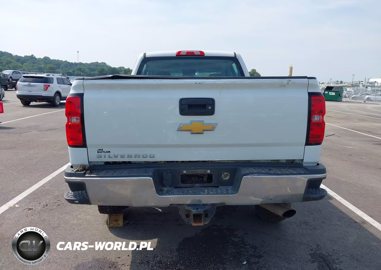 2019 Chevrolet Silverado 2500Hd Wt VIN:1GC1KREG0KF226760 - 17
