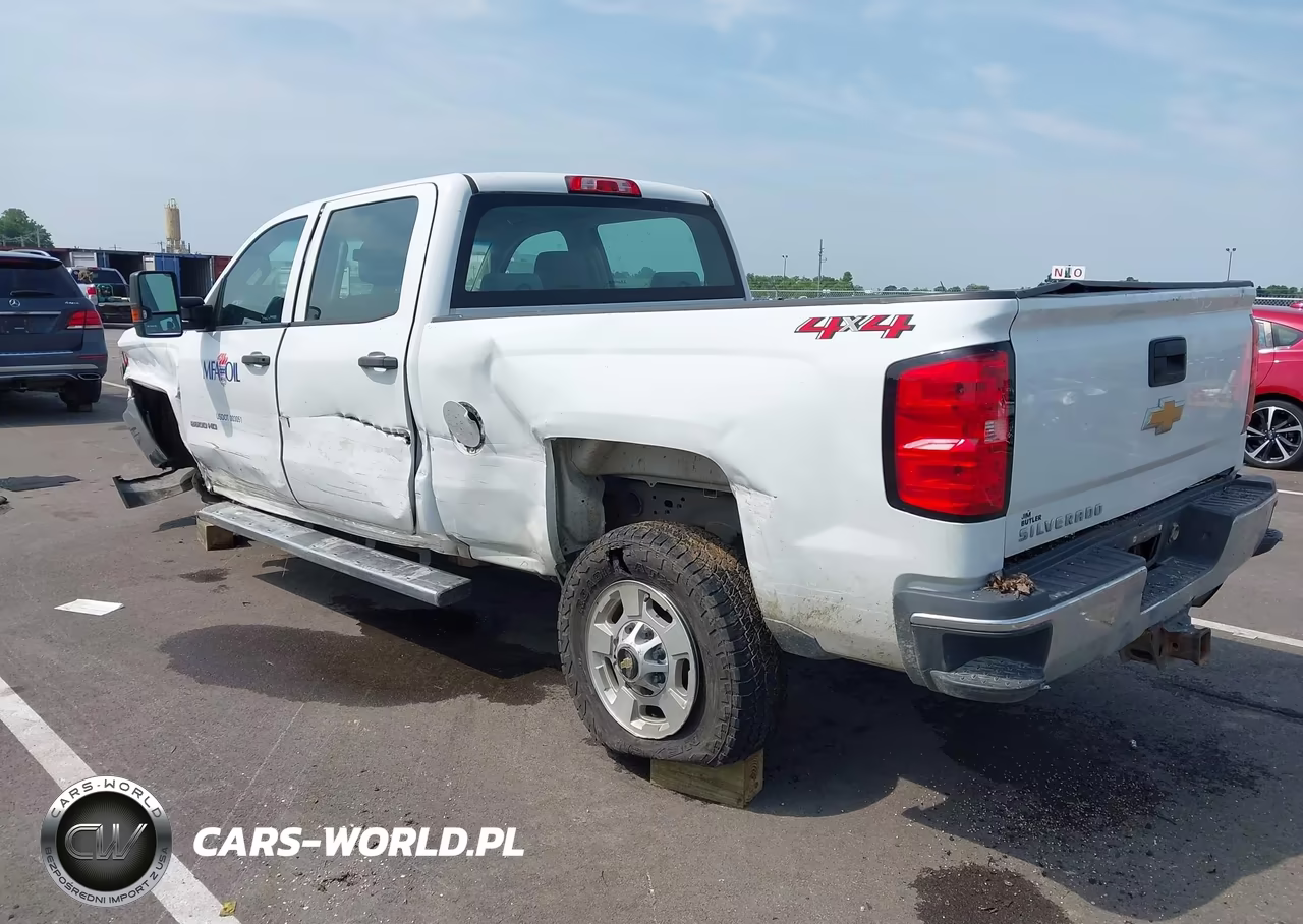 2019 Chevrolet Silverado 2500Hd Wt VIN:1GC1KREG0KF226760 - 3