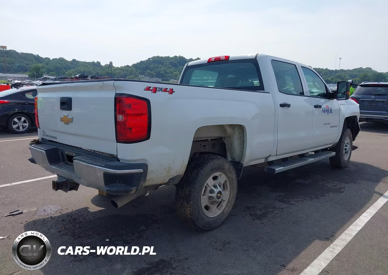2019 Chevrolet Silverado 2500Hd Wt VIN:1GC1KREG0KF226760 - 4