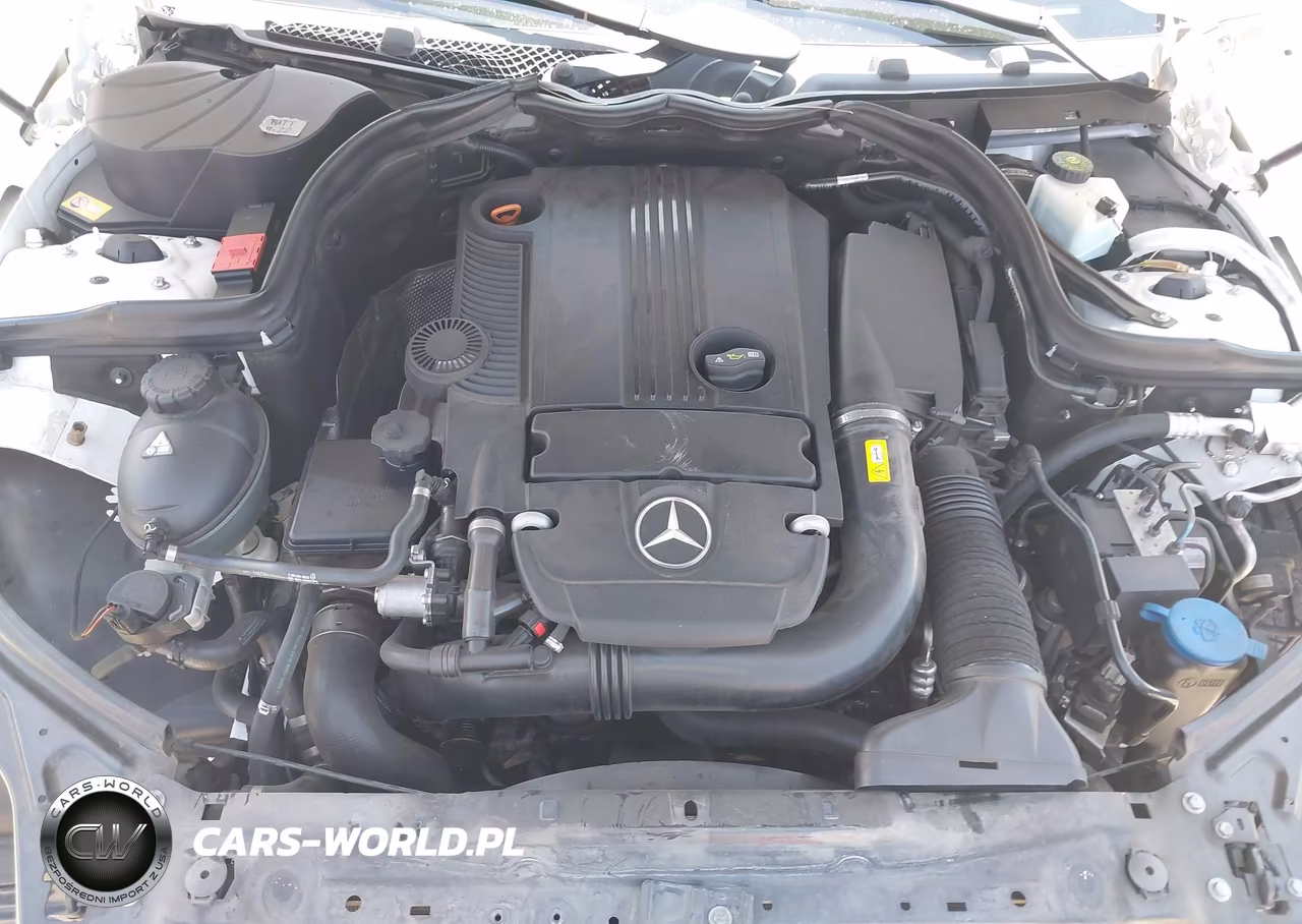 2013 Mercedes-Benz C 250 VIN:WDDGF4HB9DR265064 - 10