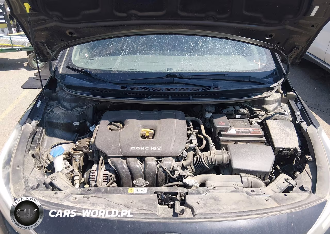 2017 Kia Forte Lx VIN:3KPFK4A77HE030414 - 10