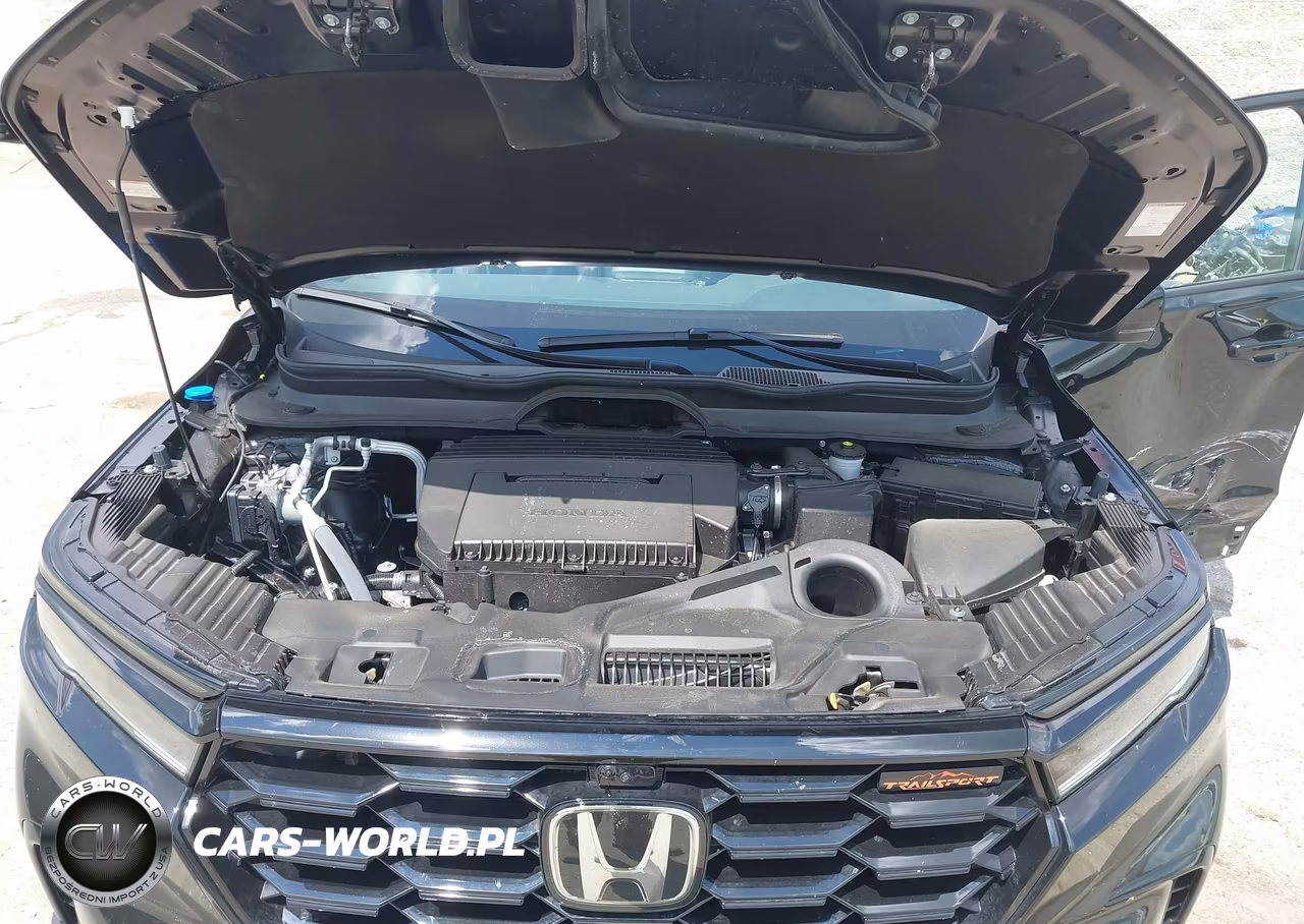 2025 Honda Pilot Trailsport VIN:5FNYG1H66SB182532 - 10