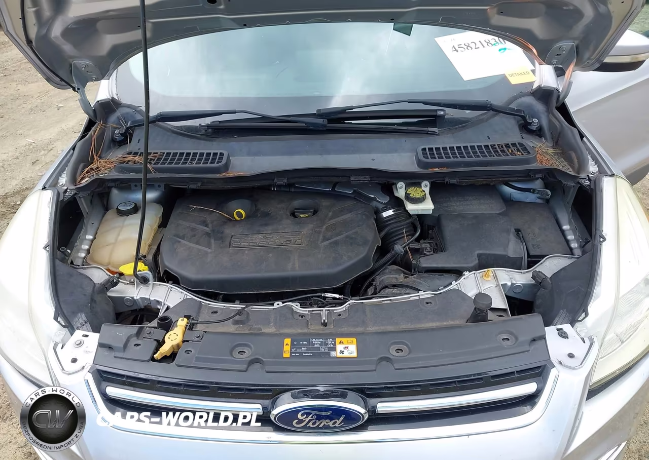 2013 Ford Escape Sel VIN:1FMCU0H93DUA18250 - 10
