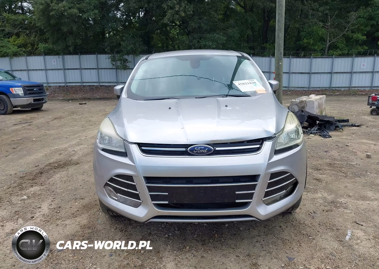 2013 Ford Escape Sel VIN:1FMCU0H93DUA18250 - 12