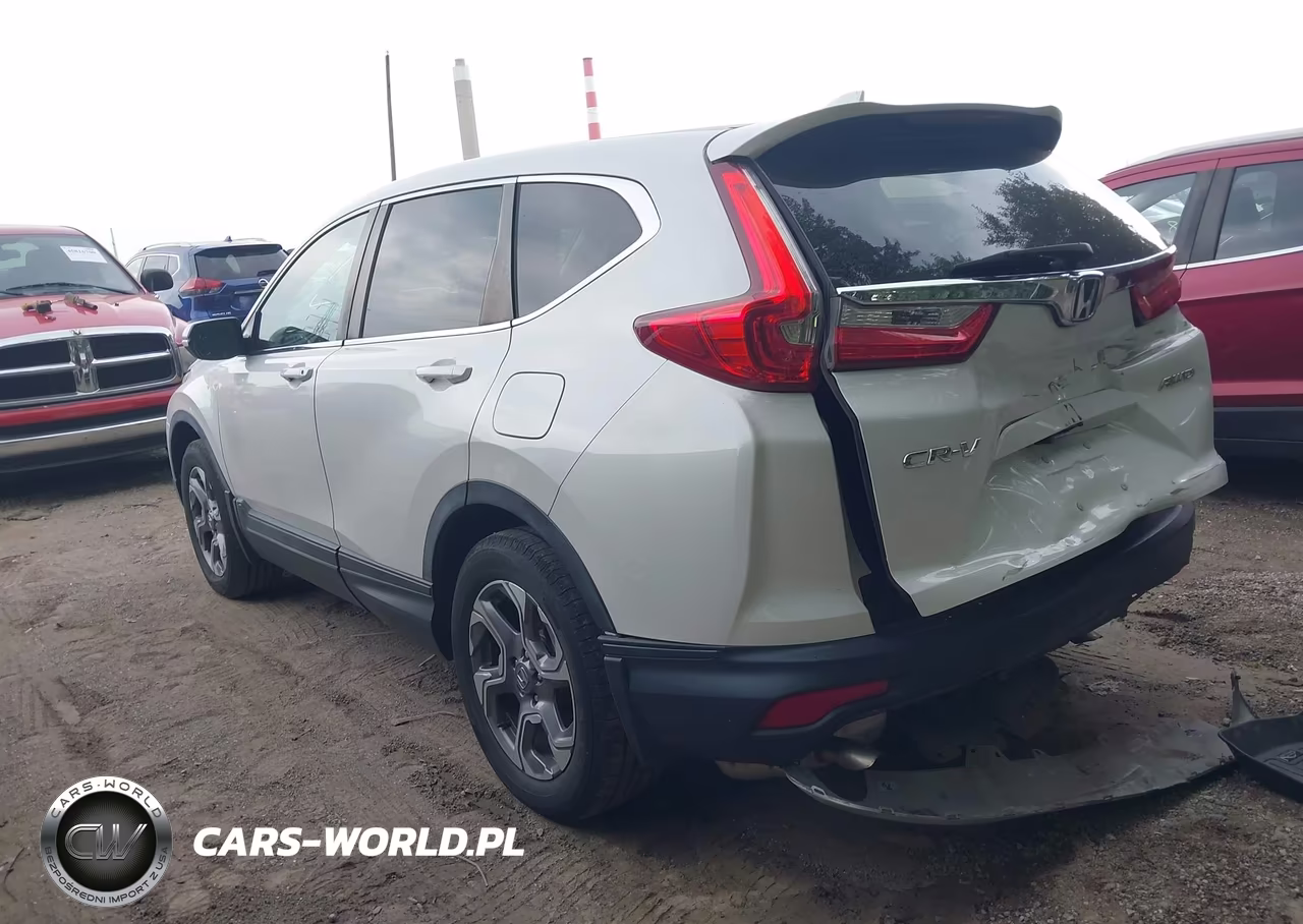 2019 Honda Cr-V Ex-L VIN:5J6RW2H80KA016265 - 3