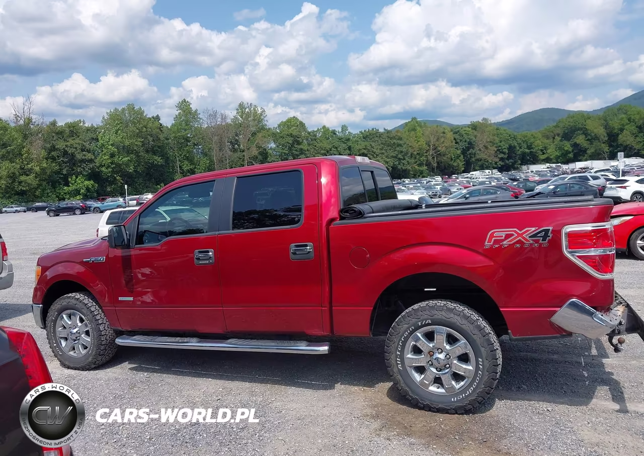 2014 Ford F-150 Xlt VIN:1FTFW1ET3EFB66955 - 15