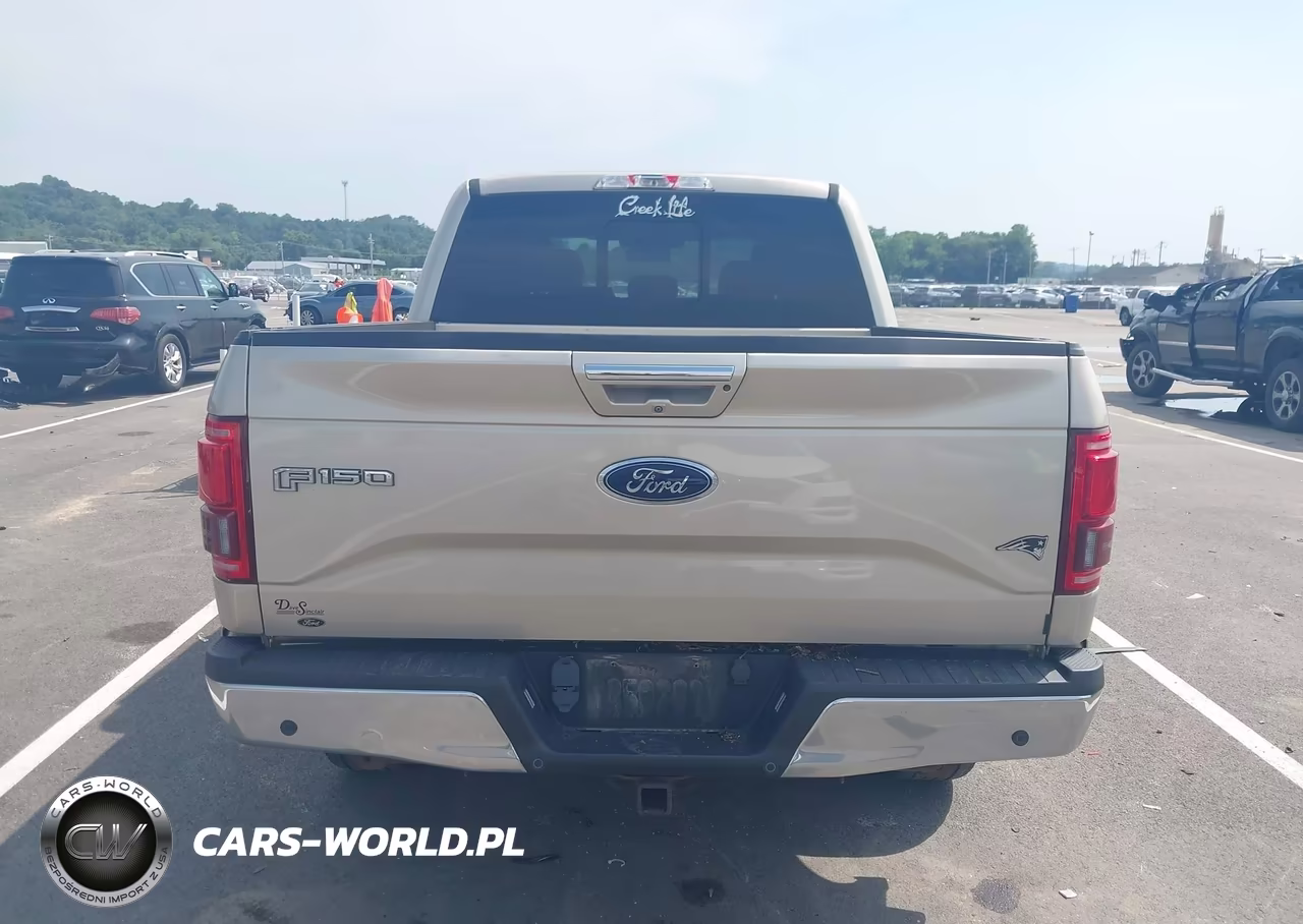 2017 Ford F-150 Lariat VIN:1FTEW1EGXHKC34145 - 16