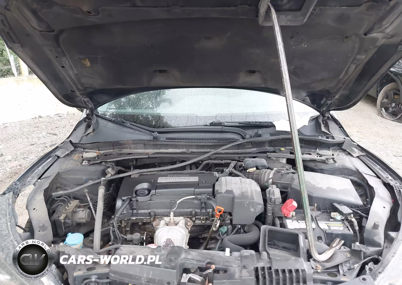 2013 Honda Accord Sport VIN:1HGCR2F56DA119447 - 10